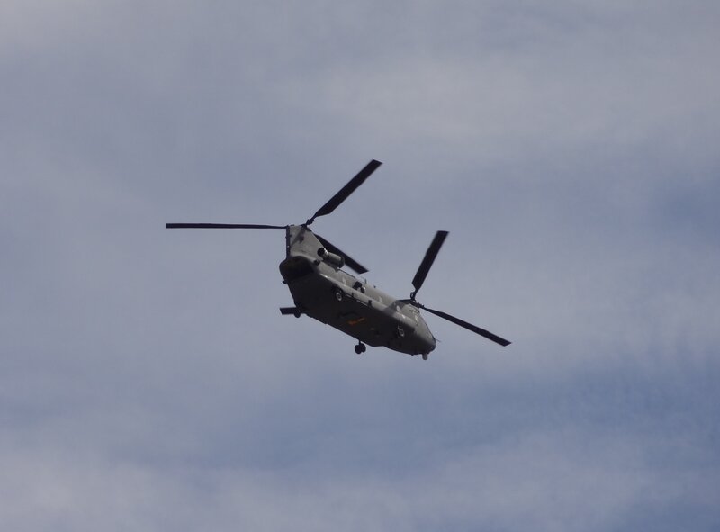 Military Helicopter in Flight — Gray, Neutral, Afternoon