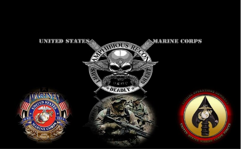 Military Insignia Collage