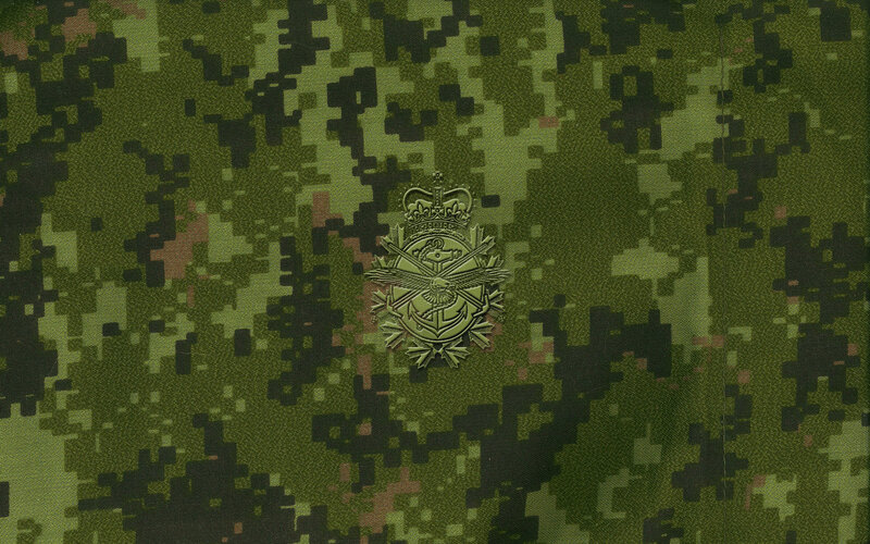military insignia on camouflage fabric