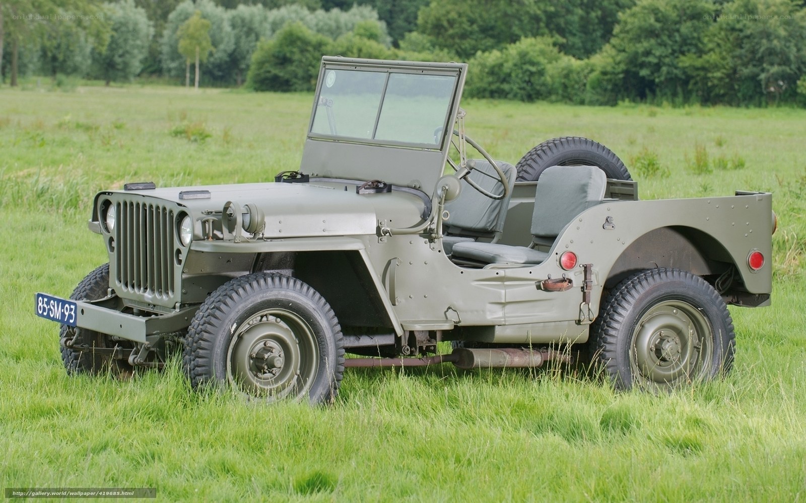 Military jeep in a field