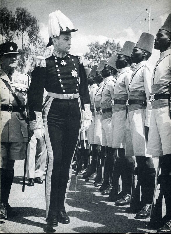 Military parade inspection