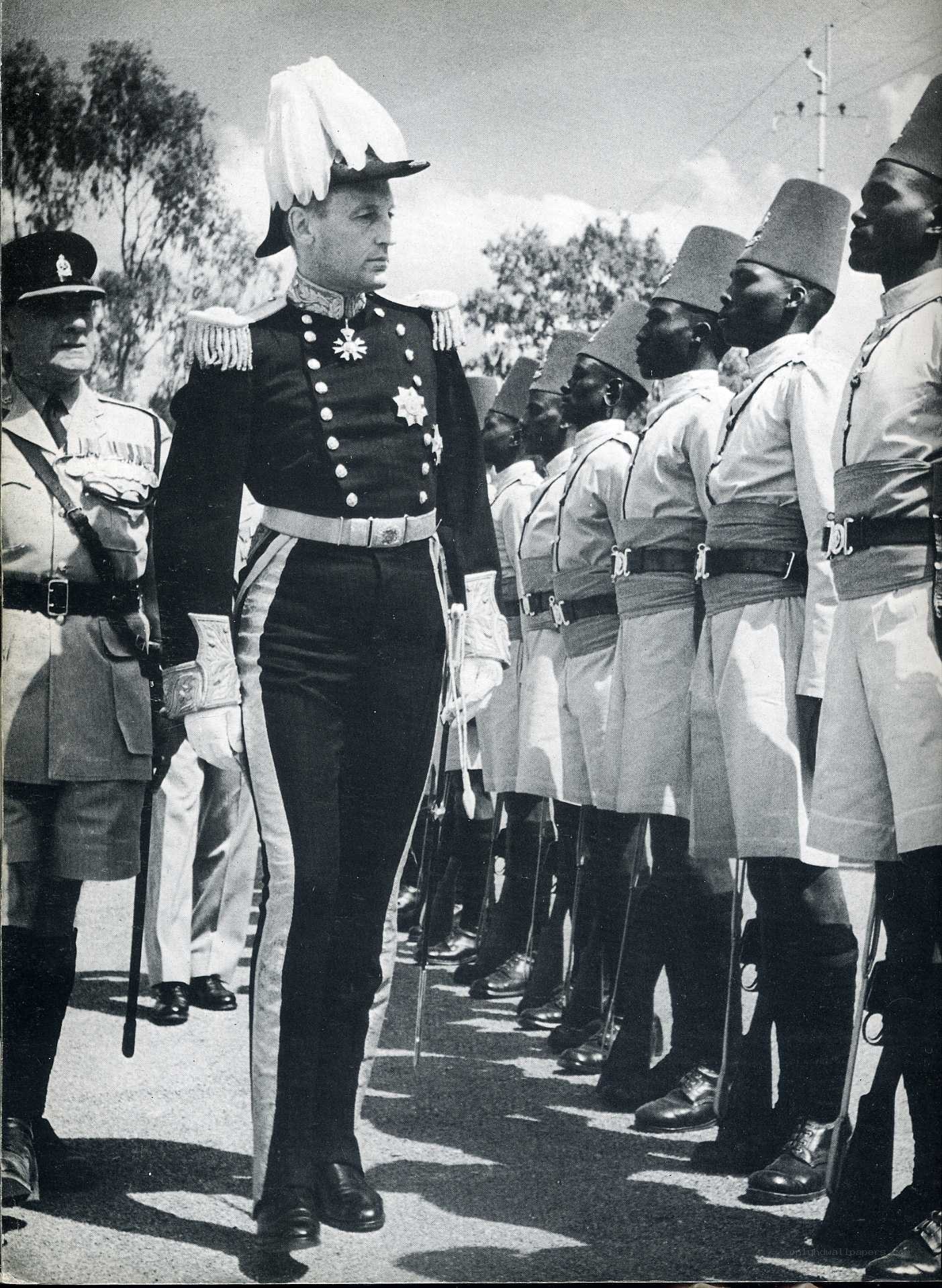 Military parade inspection
