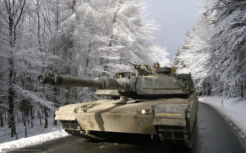 Military Tank in Forest — Gray