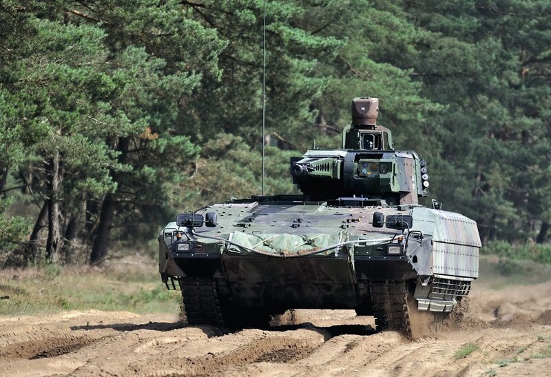Military tank in forest terrain
