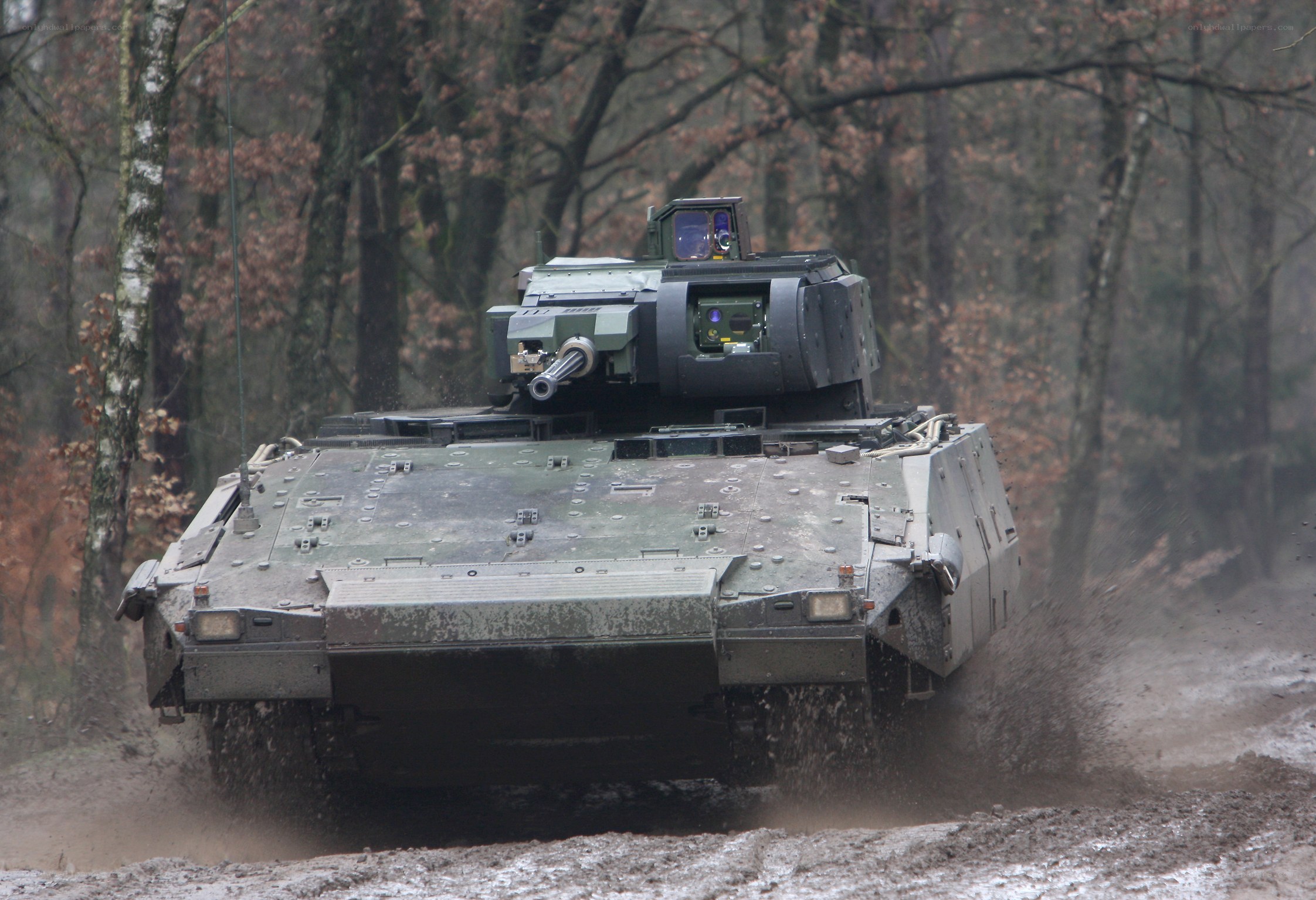 Military tank in forest