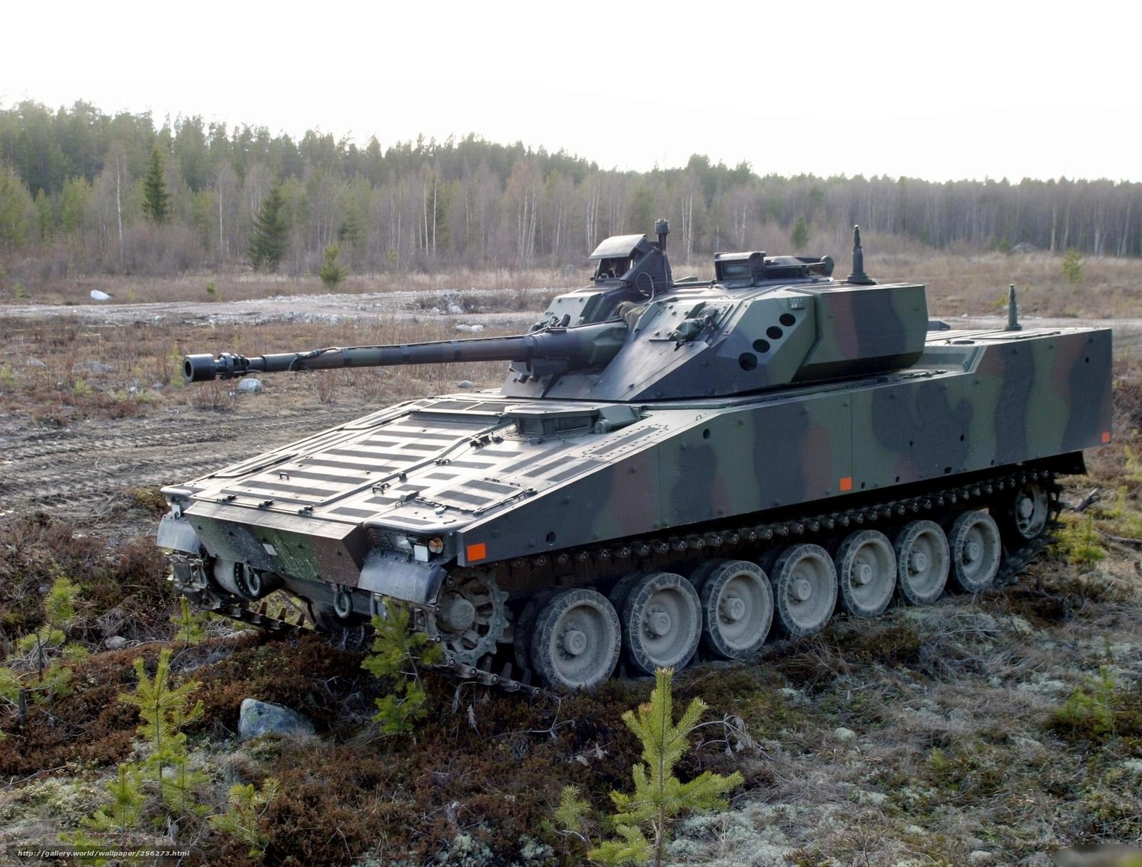 Military tank in forested area