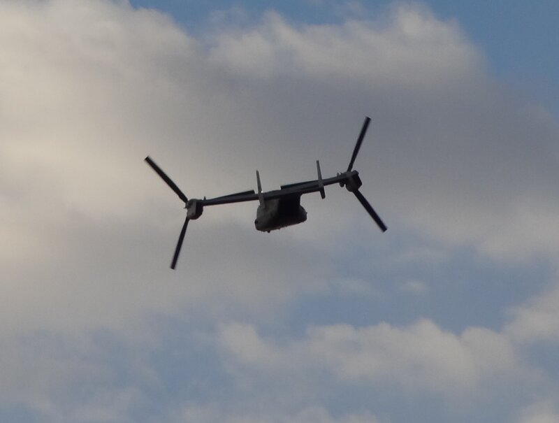 Military Tiltrotor Aircraft — Gray, Neutral