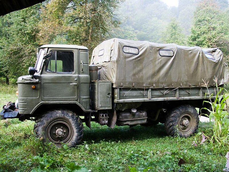 Military truck in forest