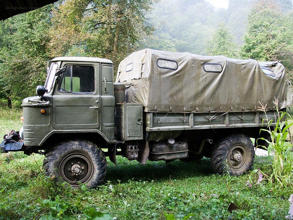 Military truck in forest