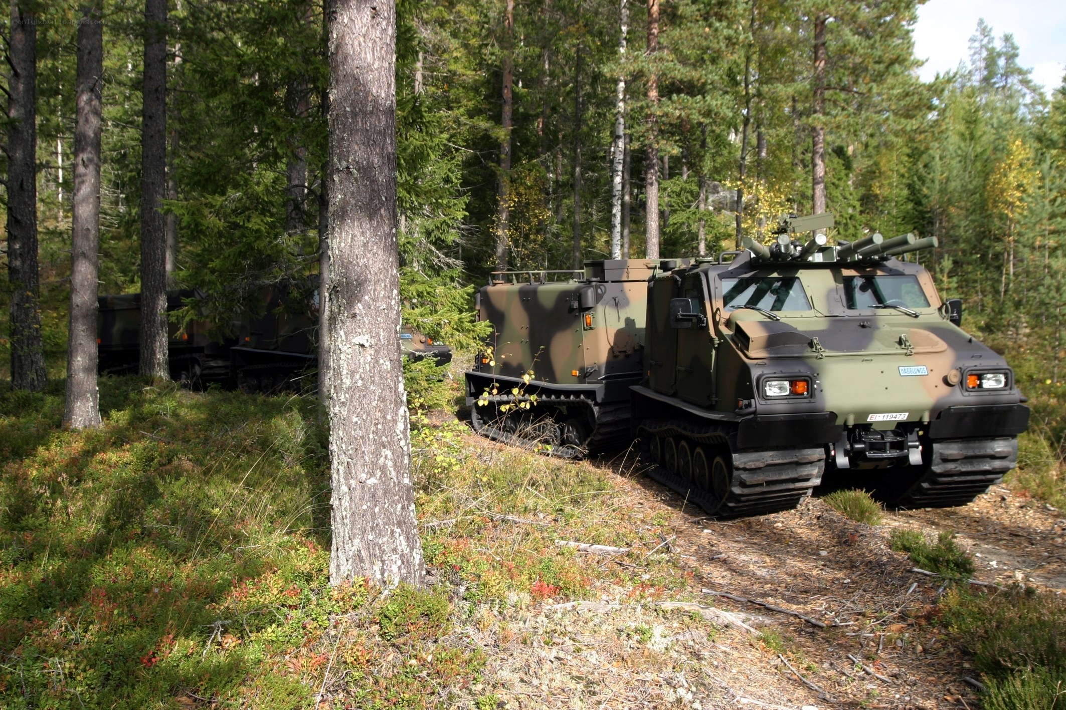Military vehicles in forest
