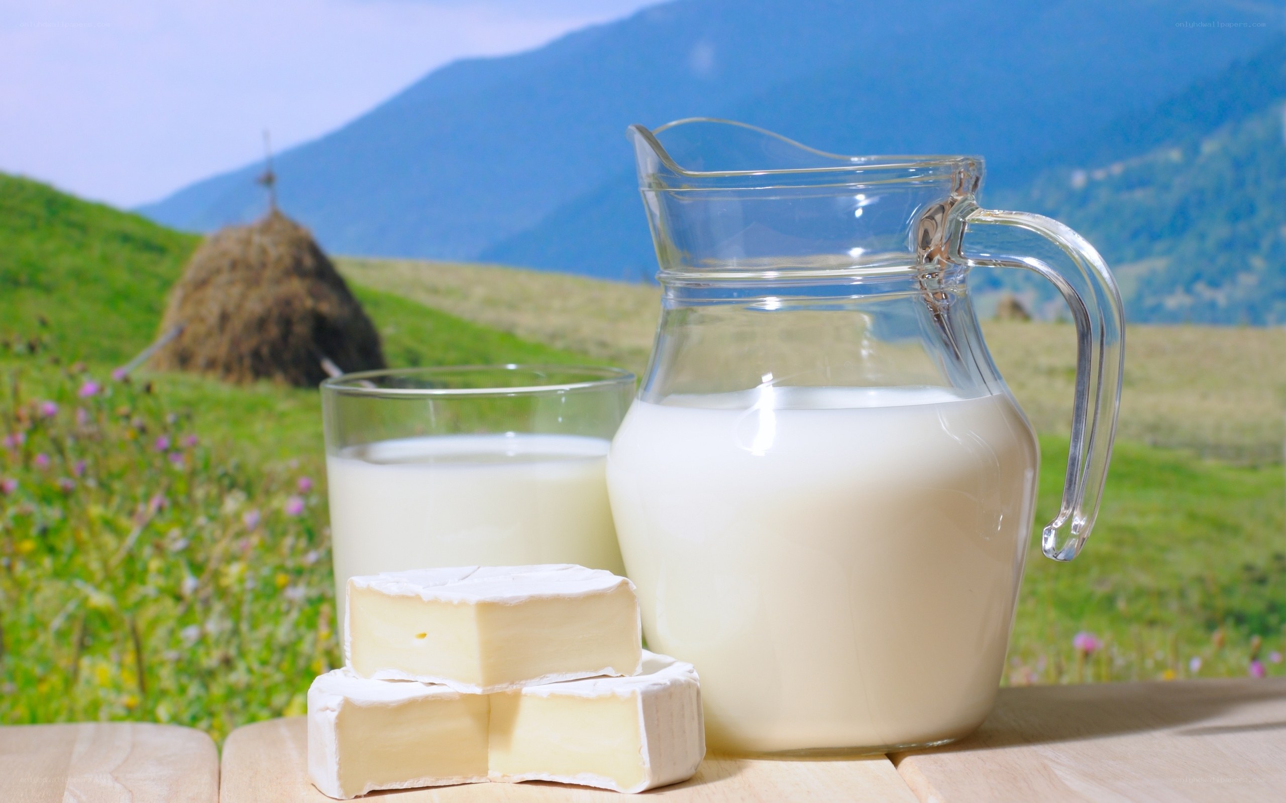 Milk and cheese in a field