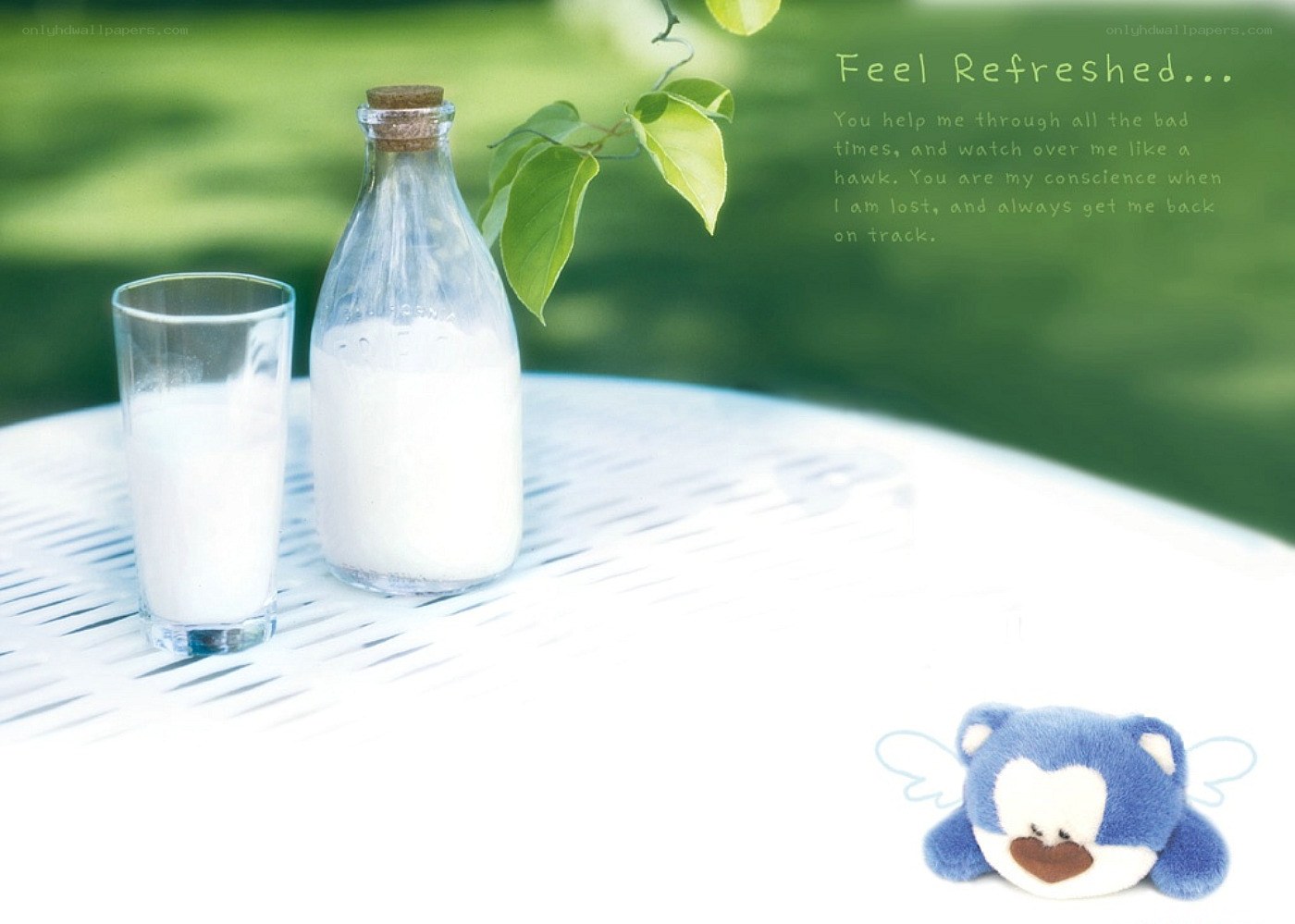 Milk and plush toy on table