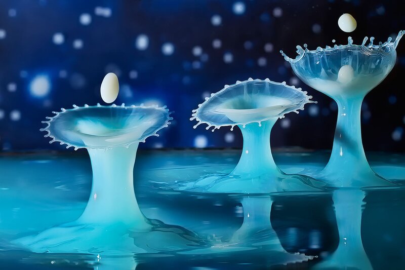 Milk Droplets Splashing