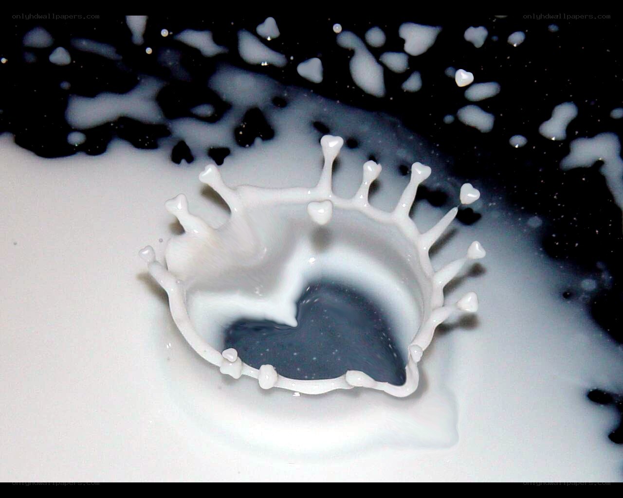 milk splash heart shape