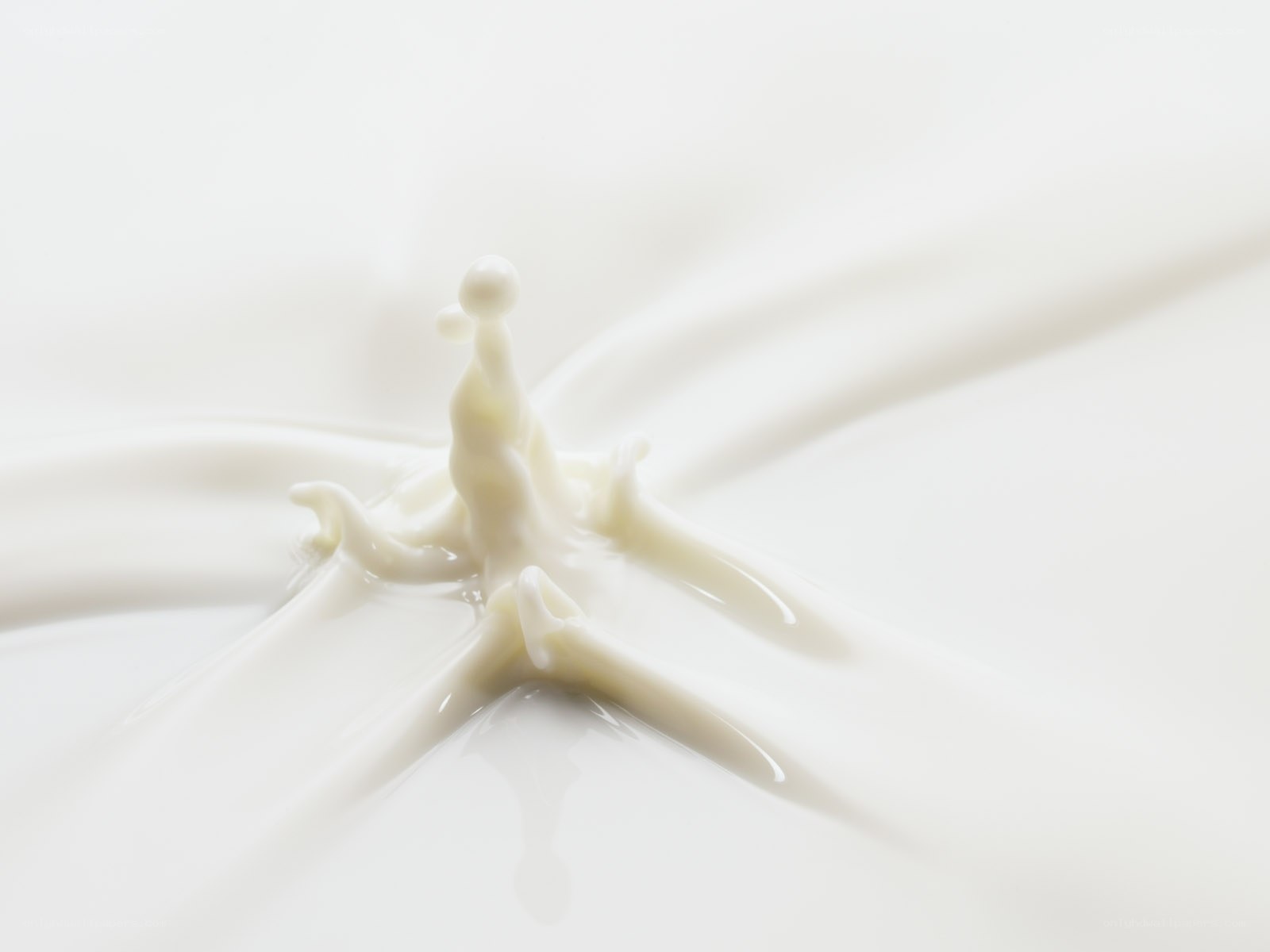 milk splash in motion