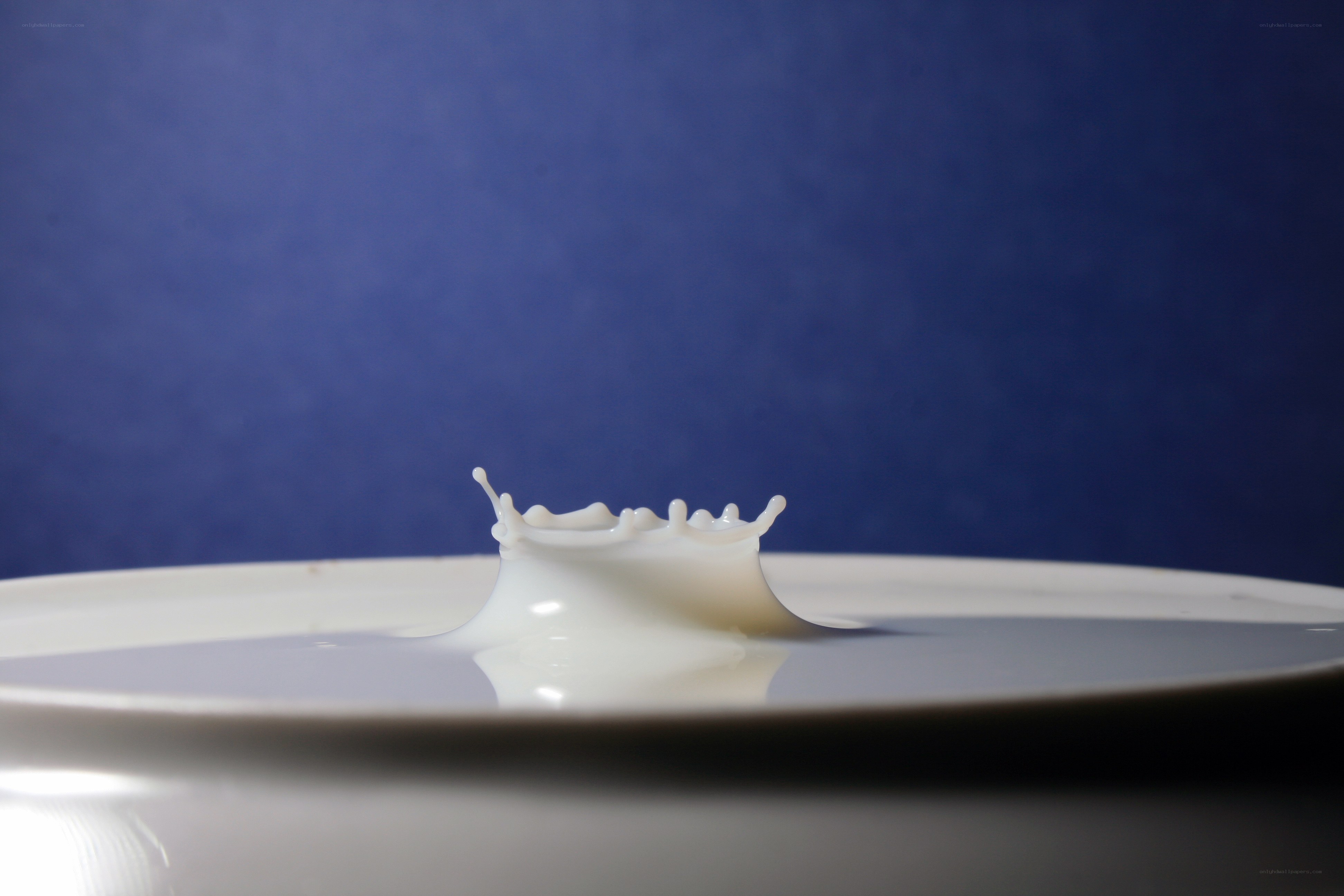 milk splash on blue background