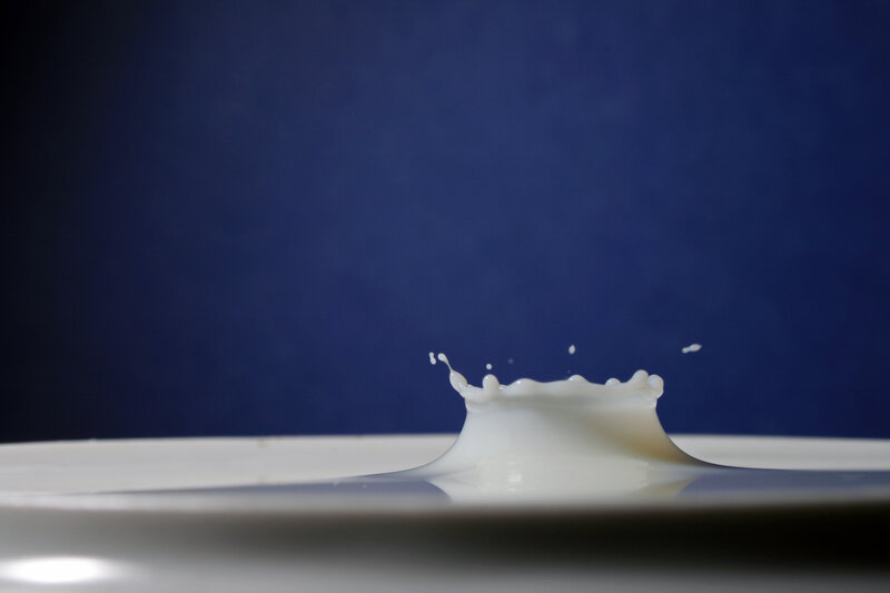 milk splash on blue background