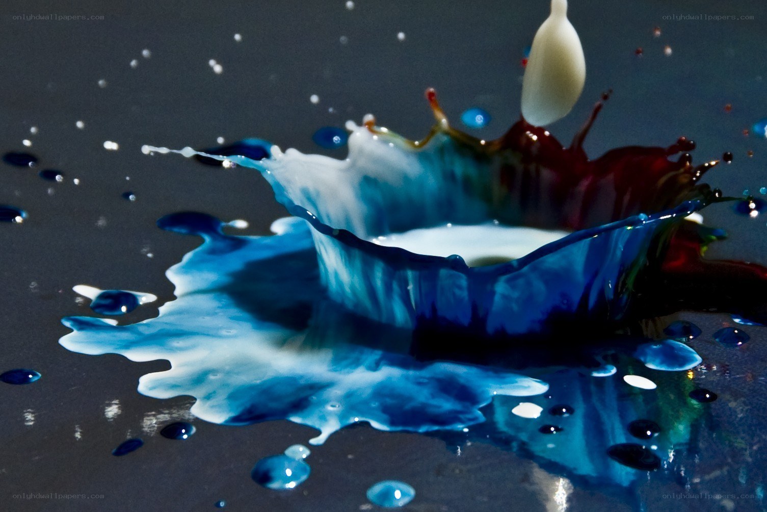 milk splash with blue dye
