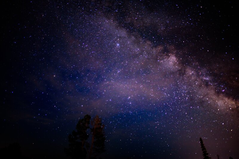 Milky Way Galaxy — Purple, Serene, Night, Photograph, Stars, Trees