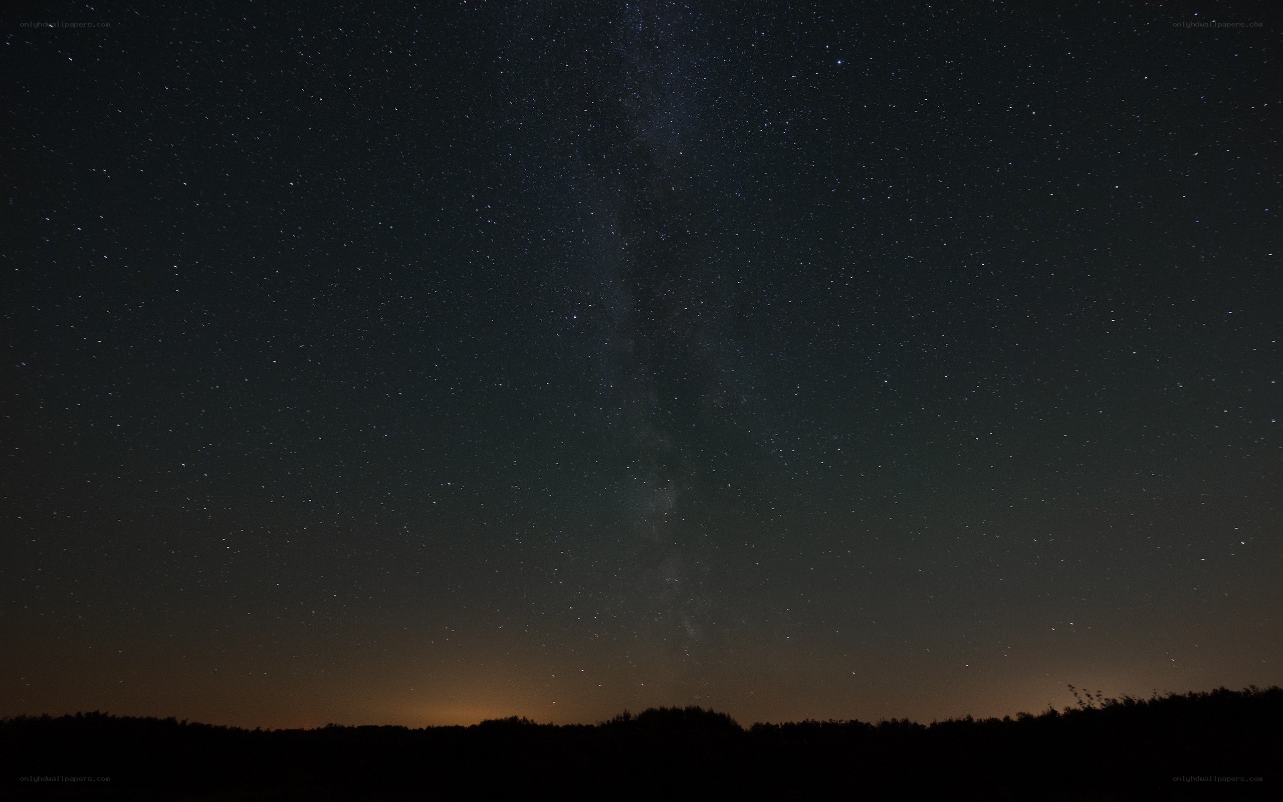Milky Way over a forest