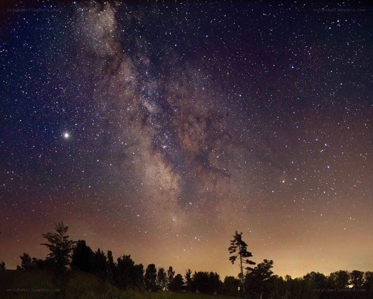 Milky Way over a forest
