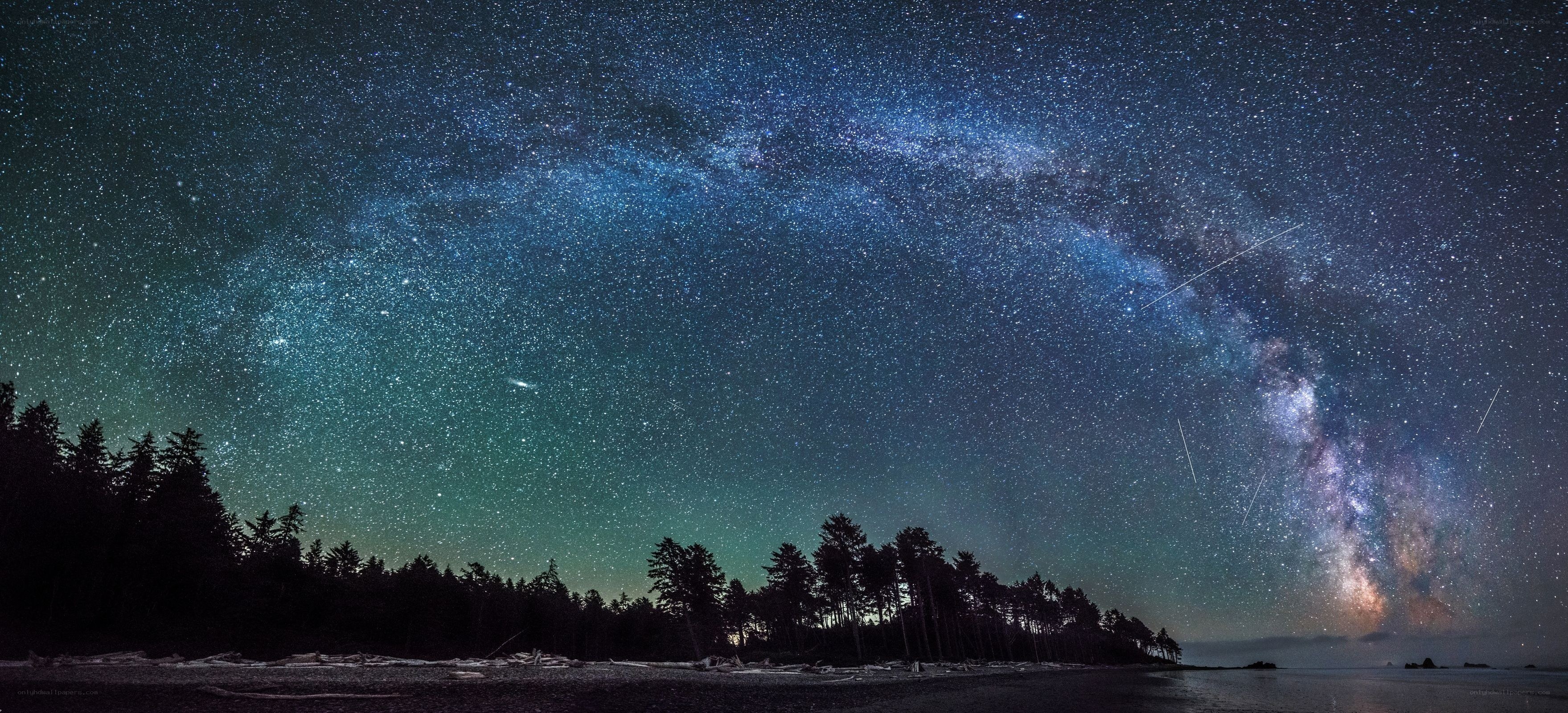 Milky Way over a forested beach