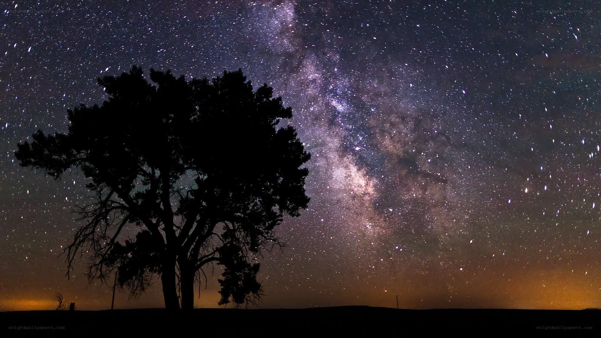 Milky Way over a lone tree