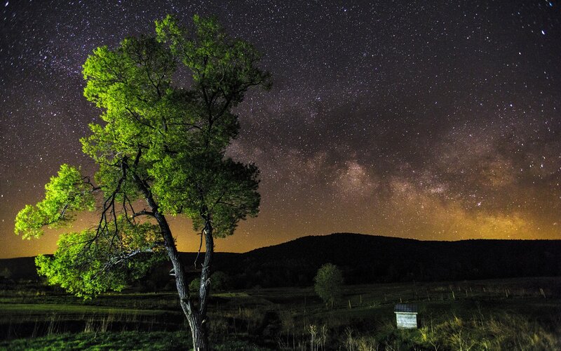 Milky Way over a lone tree