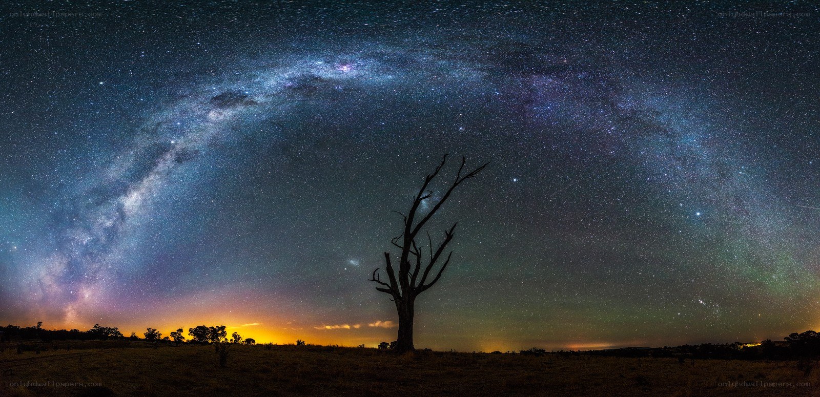 Milky Way over a lone tree