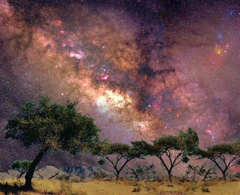 Milky Way over African savanna