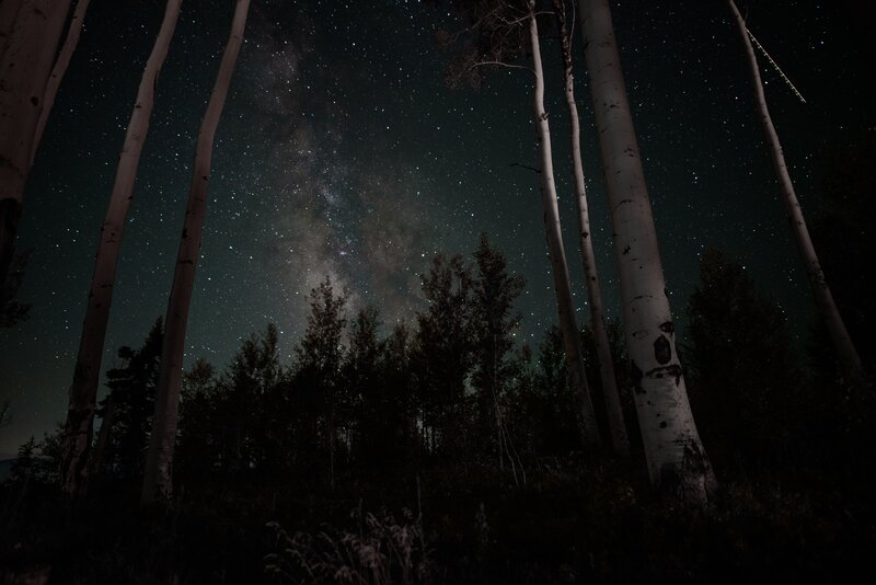 Milky Way over aspen trees