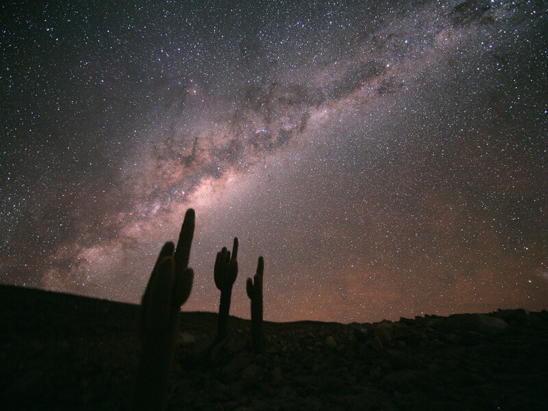 Milky Way over cacti
