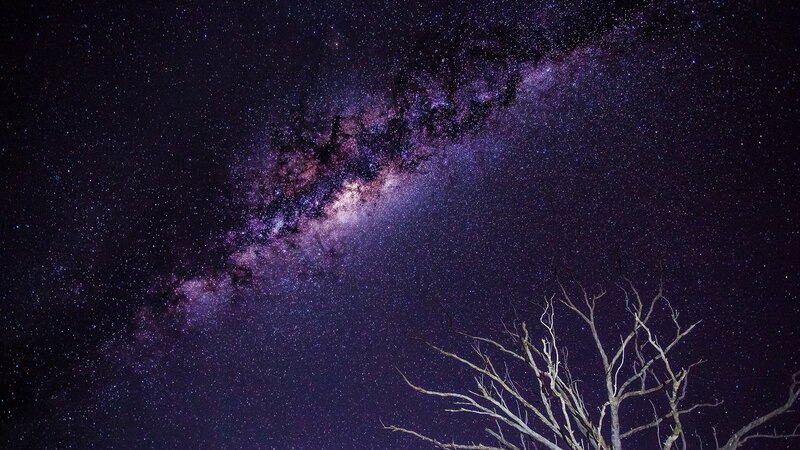 Milky Way over Dead Tree
