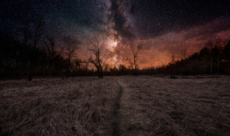 Milky Way over Field — Black