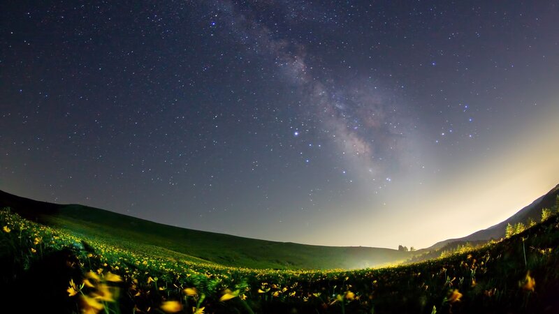 Milky Way over Flower Field