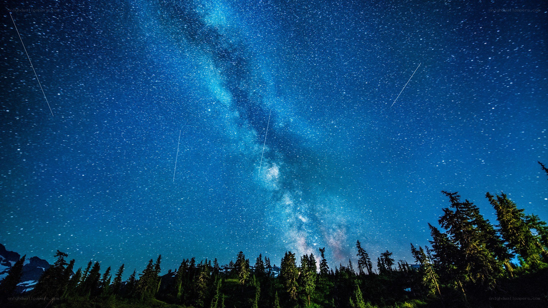 Milky Way over forest