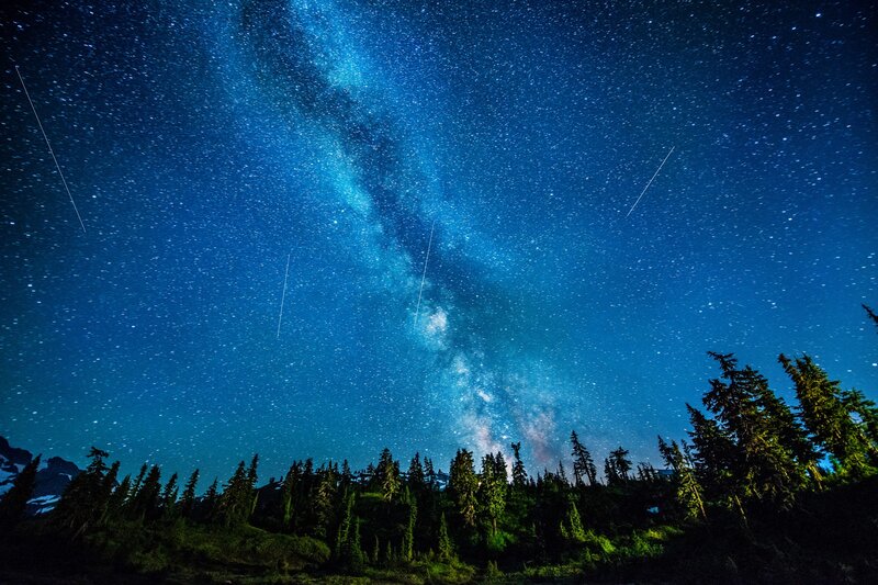 Milky Way over forest