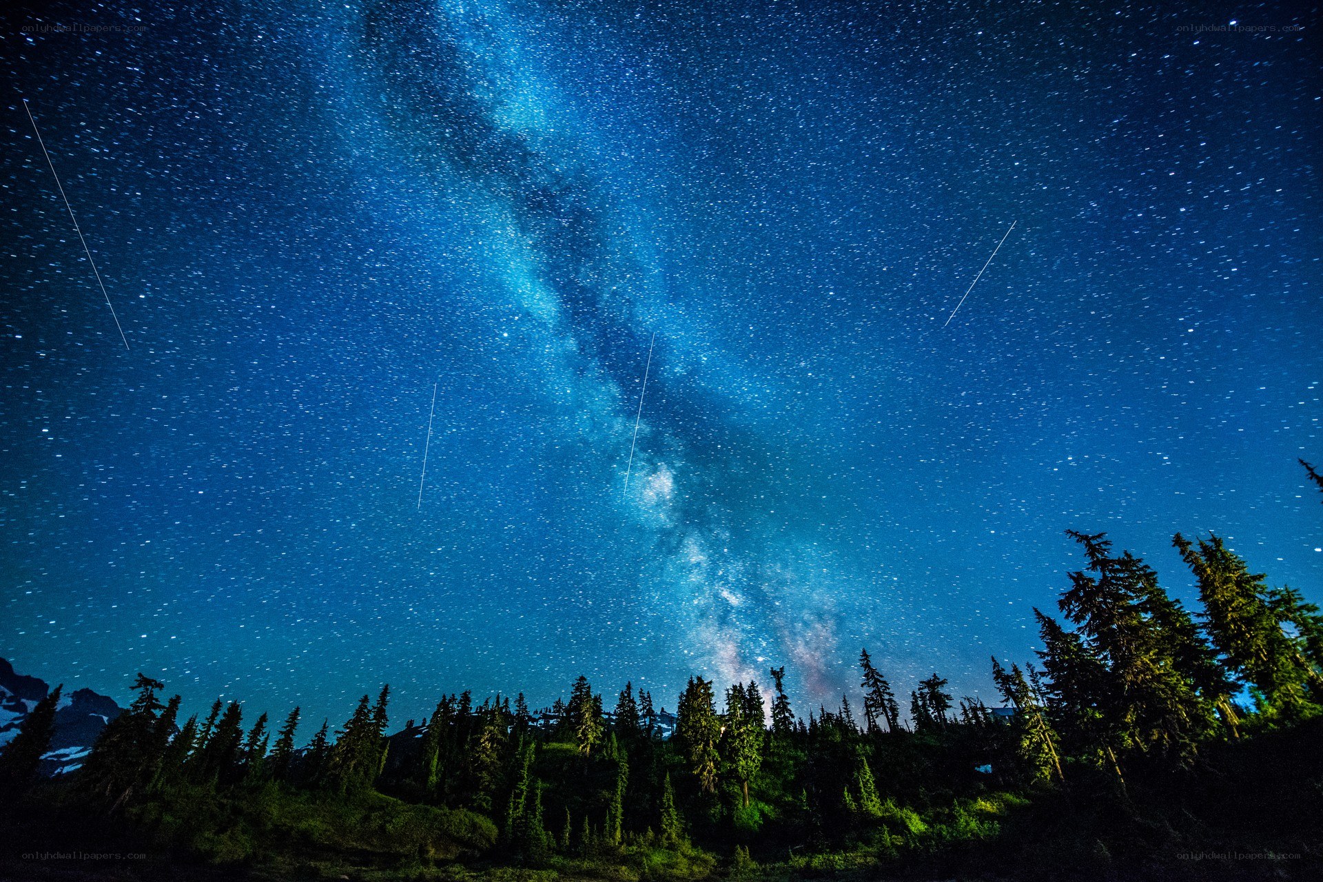 Milky Way over forest