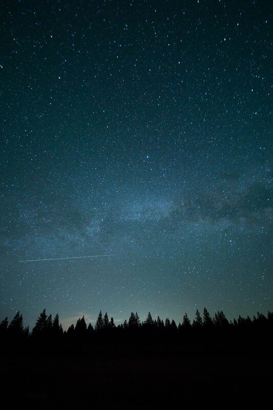 Milky Way over Forest — Black, Serene, Night, Photograph, Stars, Galaxy