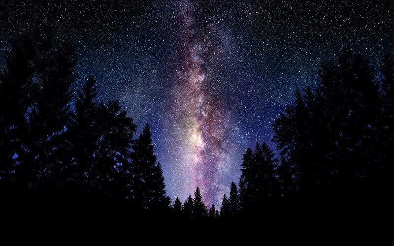Milky Way over Forest — Black, Serene, Night, Photograph, Stars, Trees
