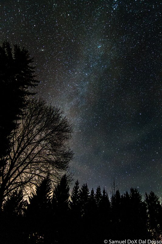 Milky Way over Forest — Black, Serene, Night, Photograph