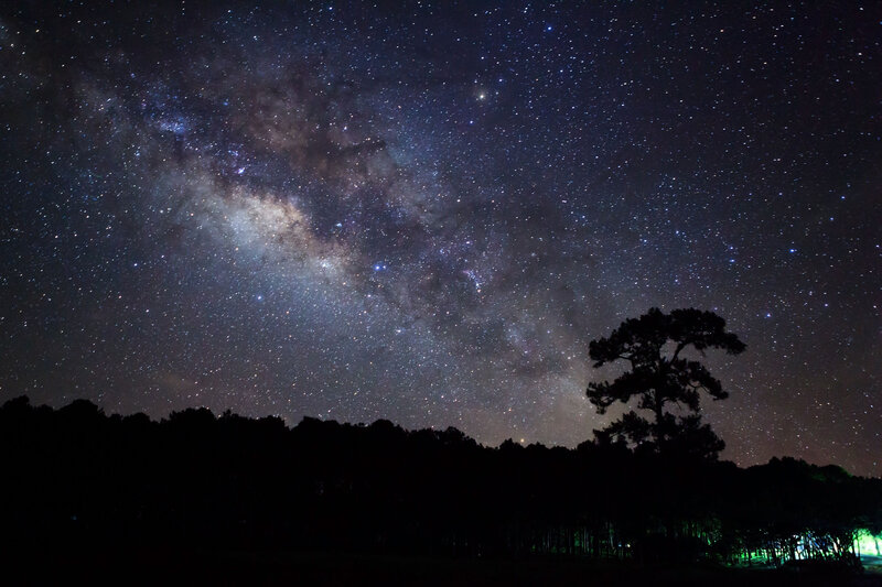 Milky Way over Forest — Black, Serene, Night