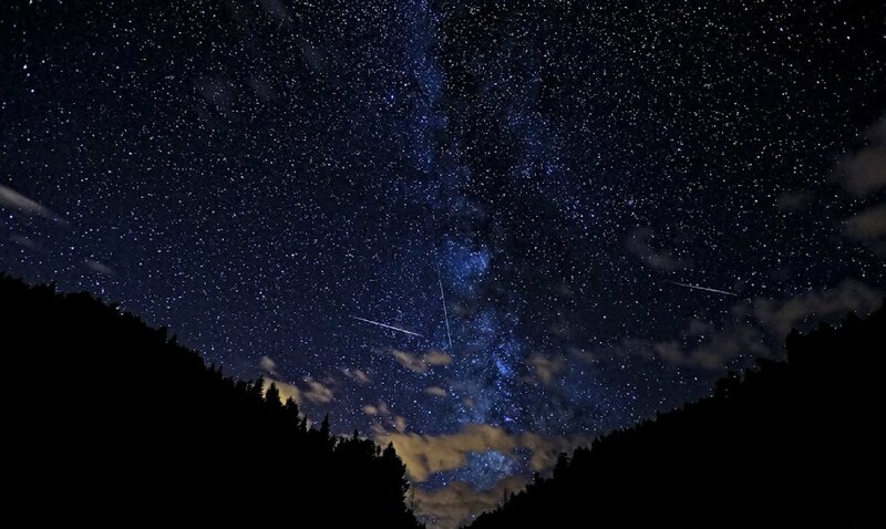 Milky Way over Forest — Black, Serene