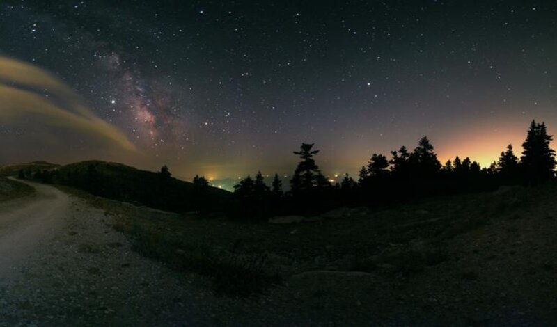 Milky Way over Forest — Black