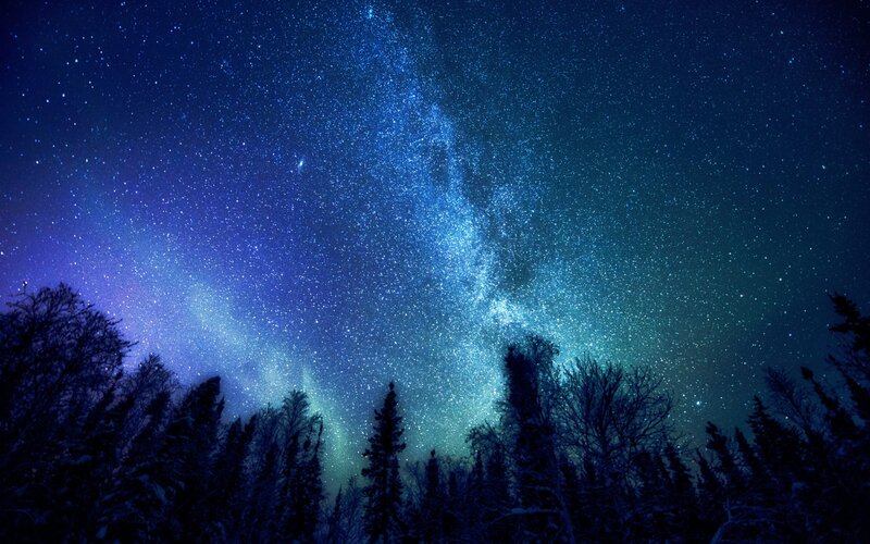 Milky Way over Forest — Blue, Serene, Night, Photograph, Stars, Night Sky