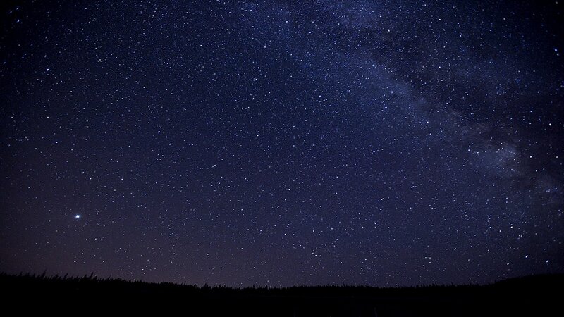 Milky Way over Forest — Dark Blue