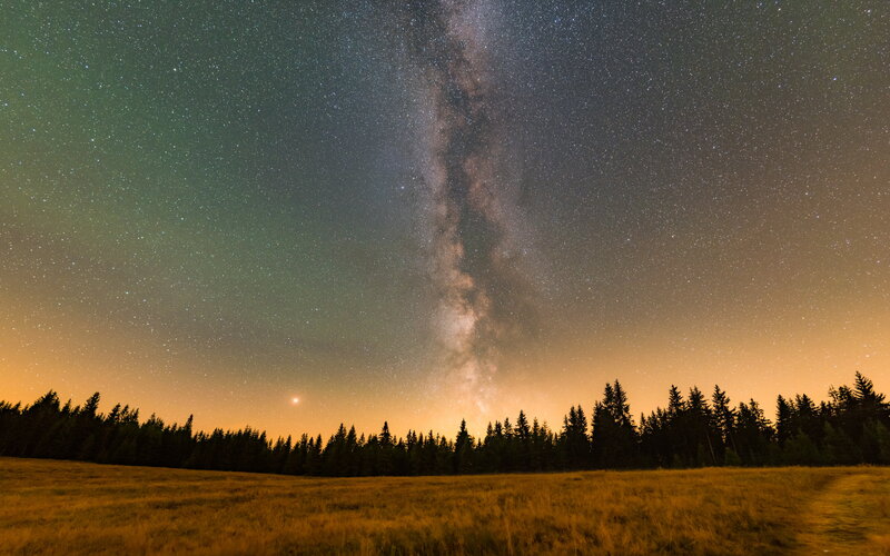 Milky Way over Forest — Orange