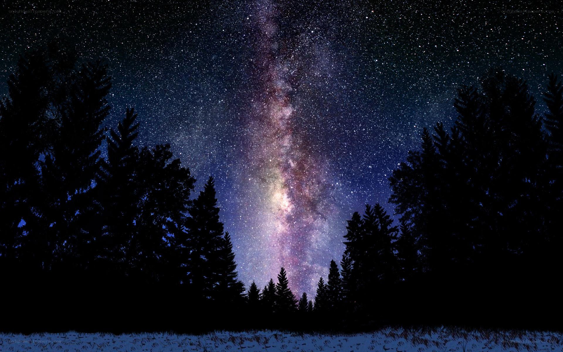 Milky Way over forest silhouette