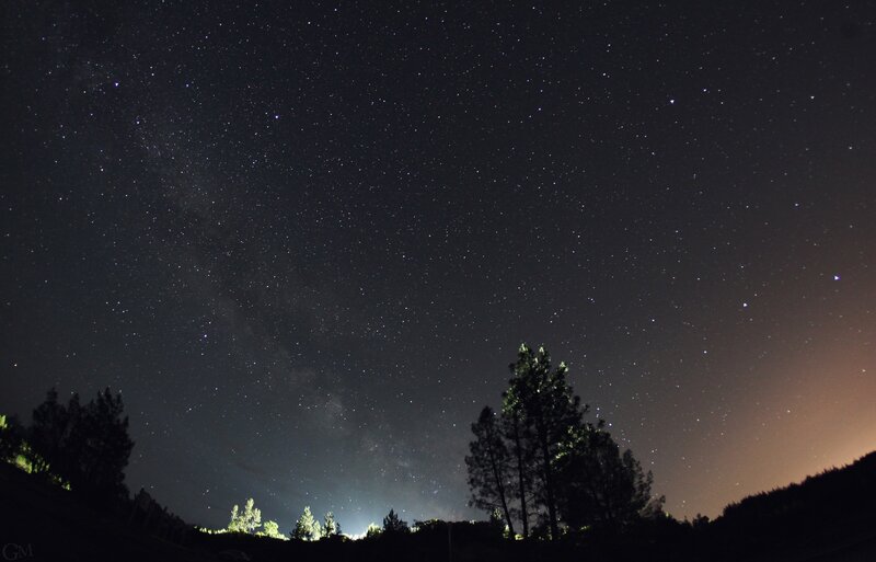 Milky Way over forest silhouette