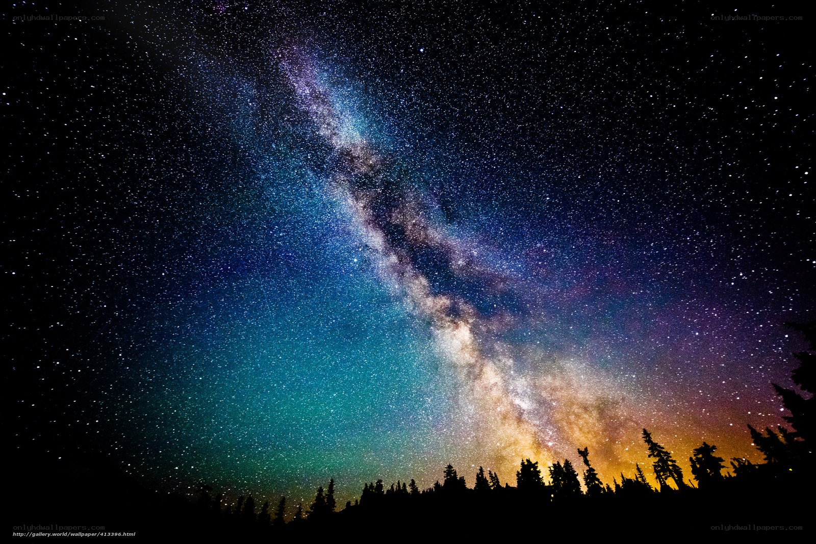 Milky Way over forest silhouette